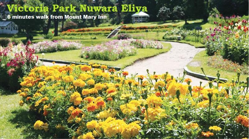Mount Mary Inn Nuwara Eliya Zewnętrze zdjęcie