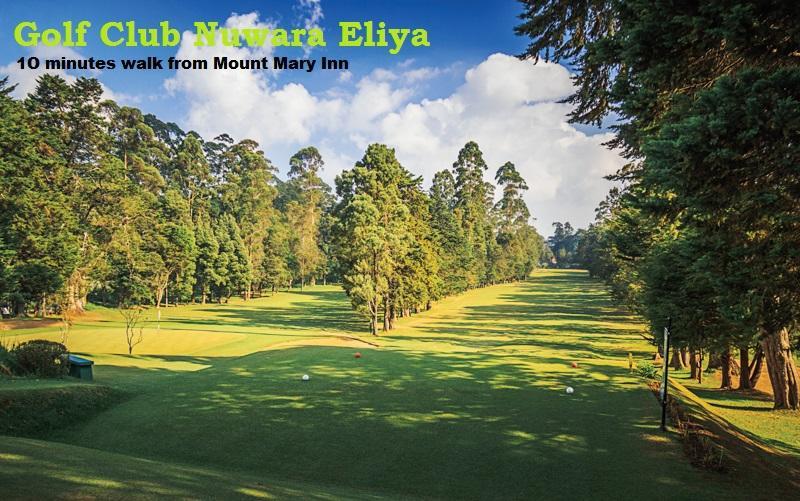 Mount Mary Inn Nuwara Eliya Zewnętrze zdjęcie