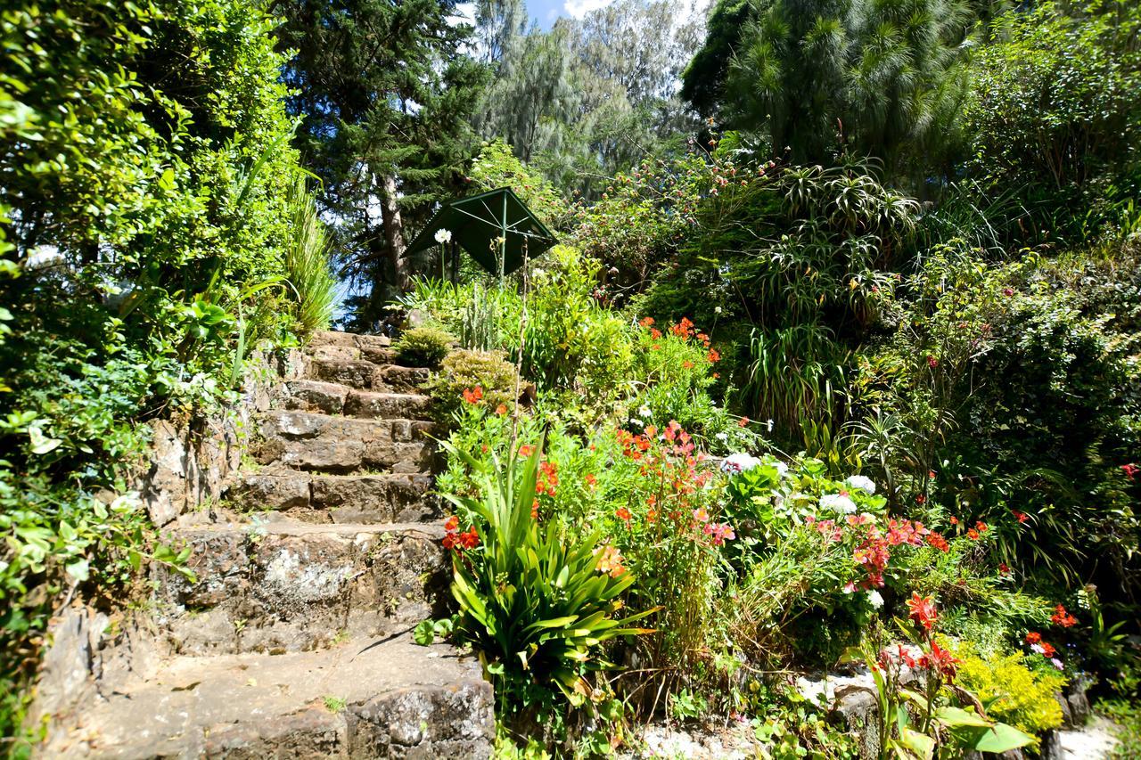 Mount Mary Inn Nuwara Eliya Zewnętrze zdjęcie